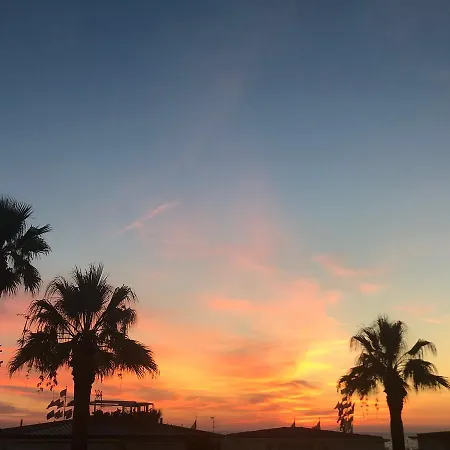 Pardini Viareggio
