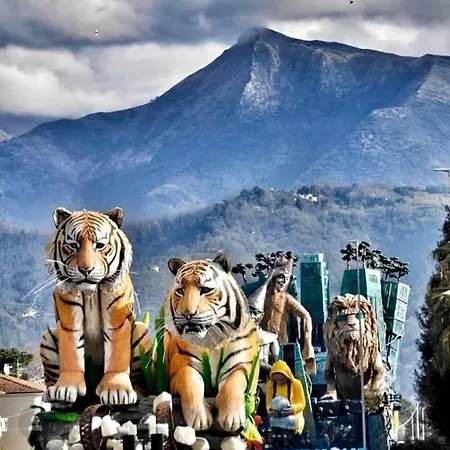 Pardini 3* וירג'יו