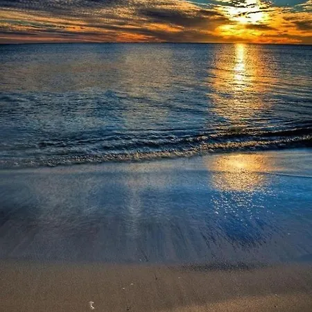 호텔 Pardini 비아레지오