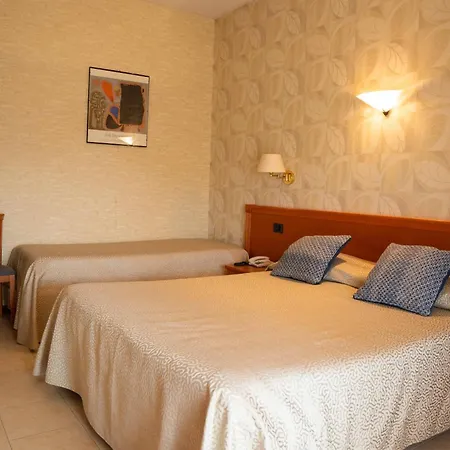 Pardini 비아레지오